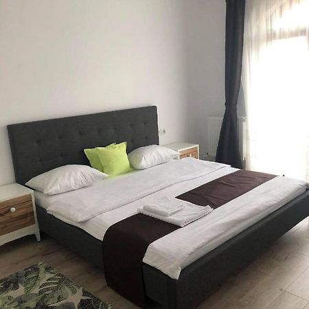 Holiday Luxury Villa With Private Garden Şelimbăr Exterior foto