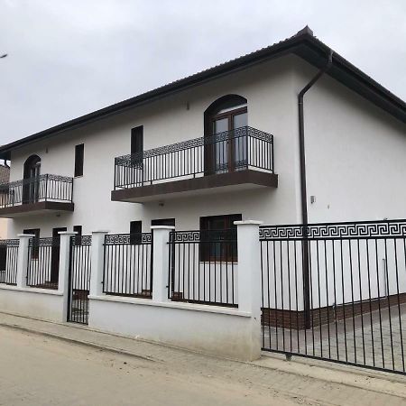 Holiday Luxury Villa With Private Garden Şelimbăr Exterior foto