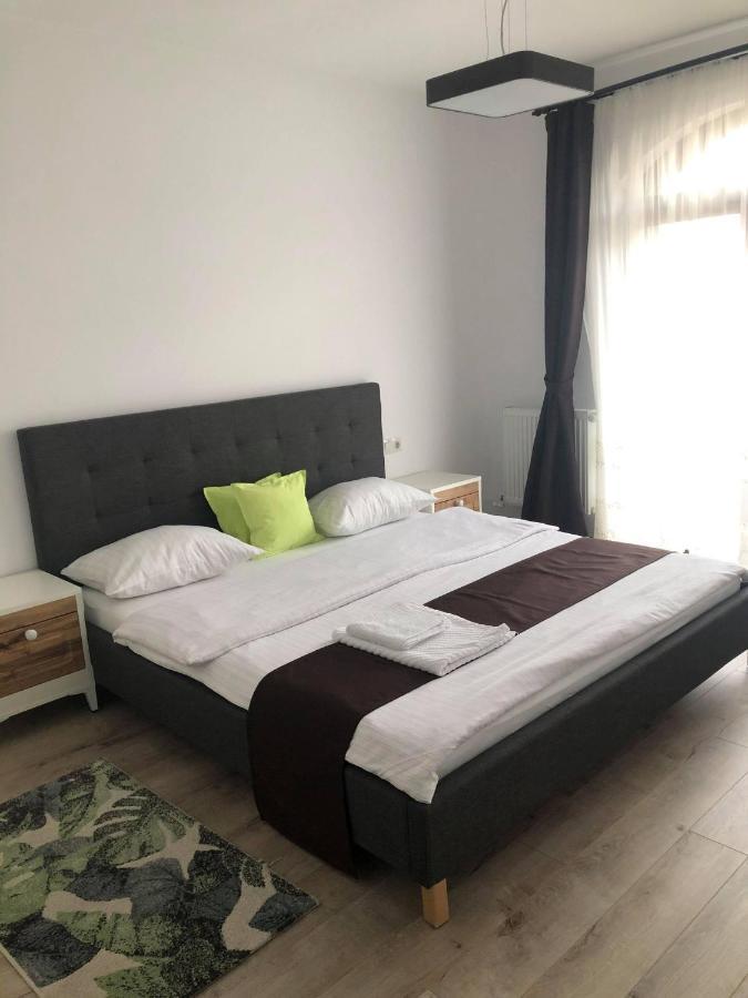 Holiday Luxury Villa With Private Garden Şelimbăr Exterior foto