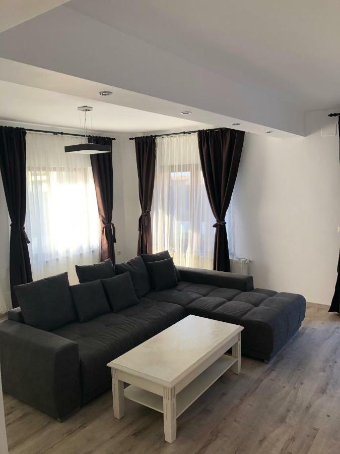 Holiday Luxury Villa With Private Garden Şelimbăr Exterior foto