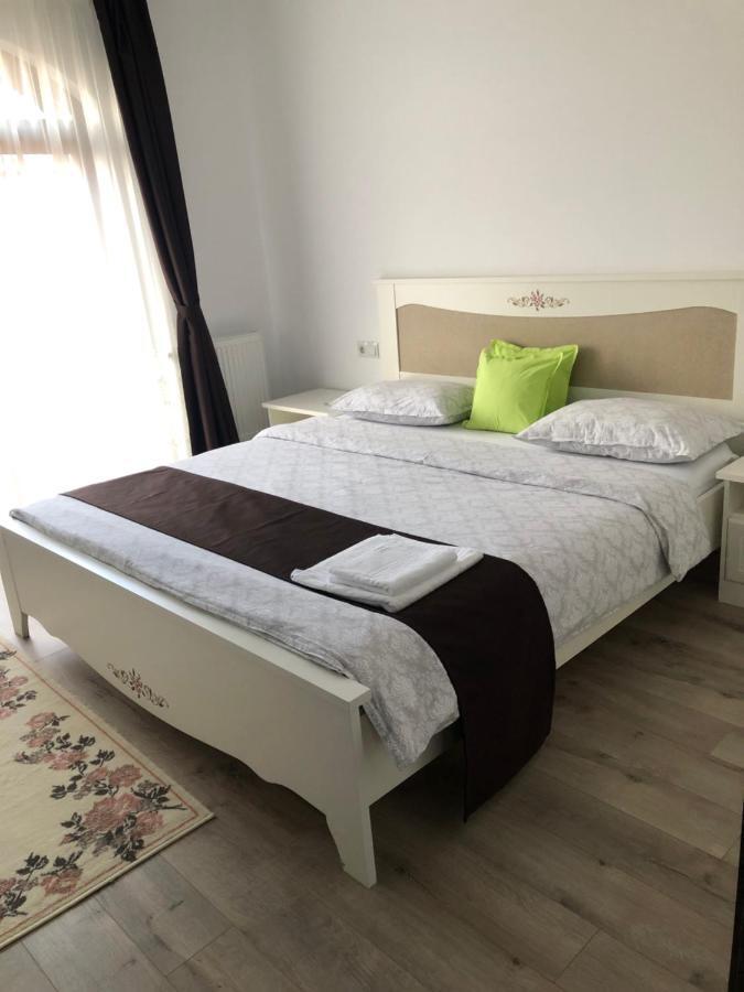Holiday Luxury Villa With Private Garden Şelimbăr Exterior foto